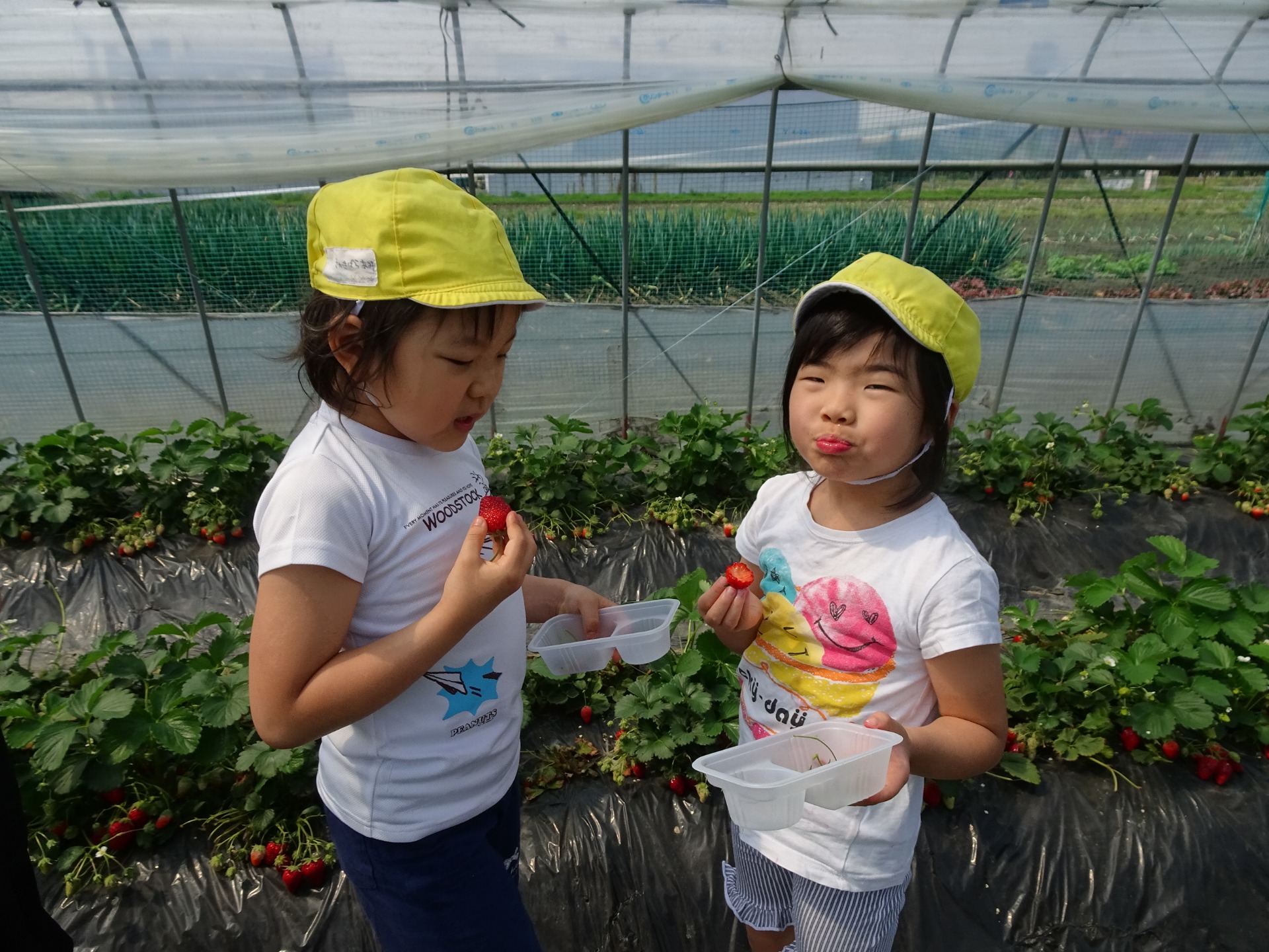 子どもたちの様子 川口市 保育園 あいう園川口